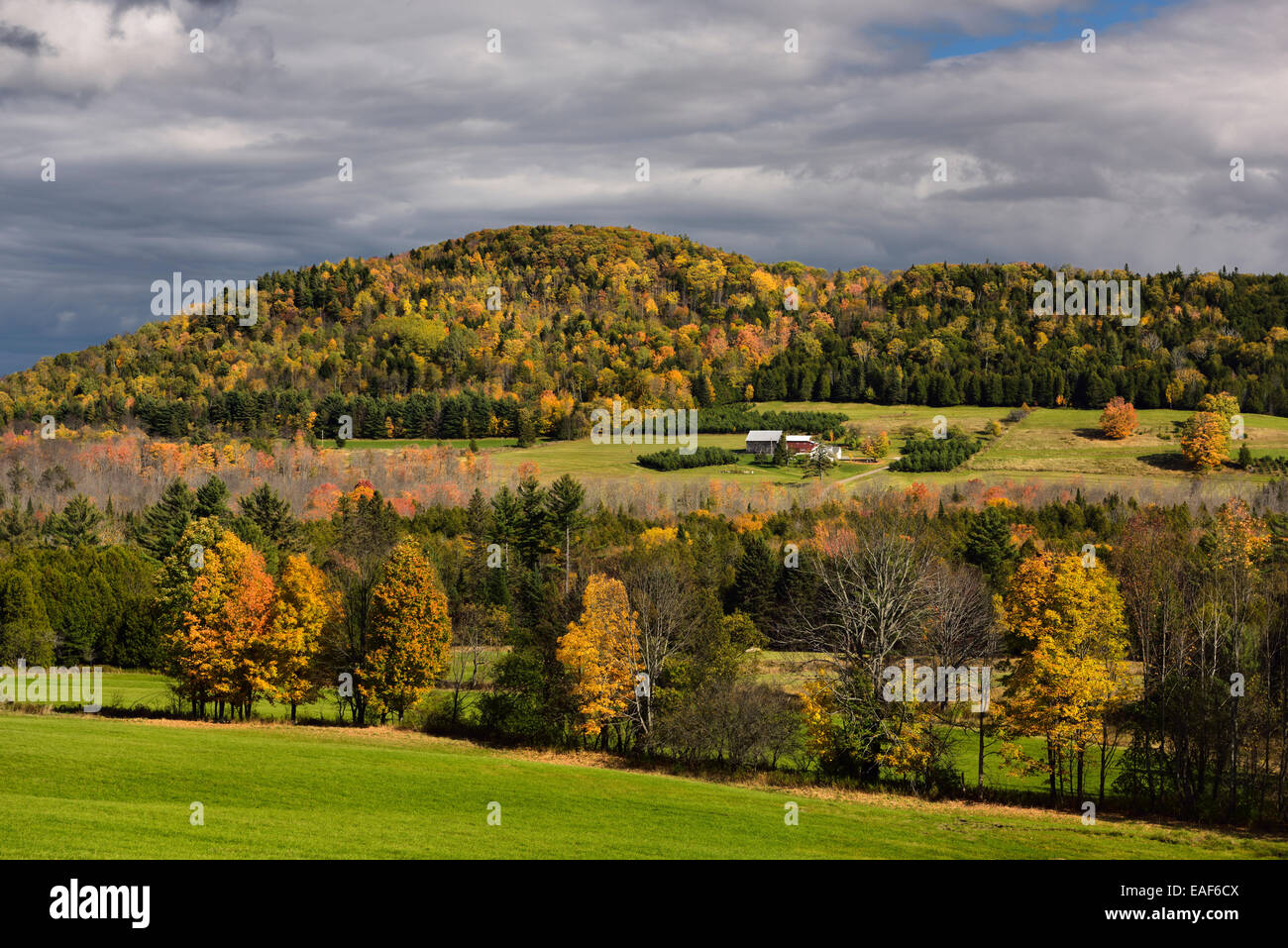 Isolated farmhouse among orange trees in Fall color under Blue Mountain ...