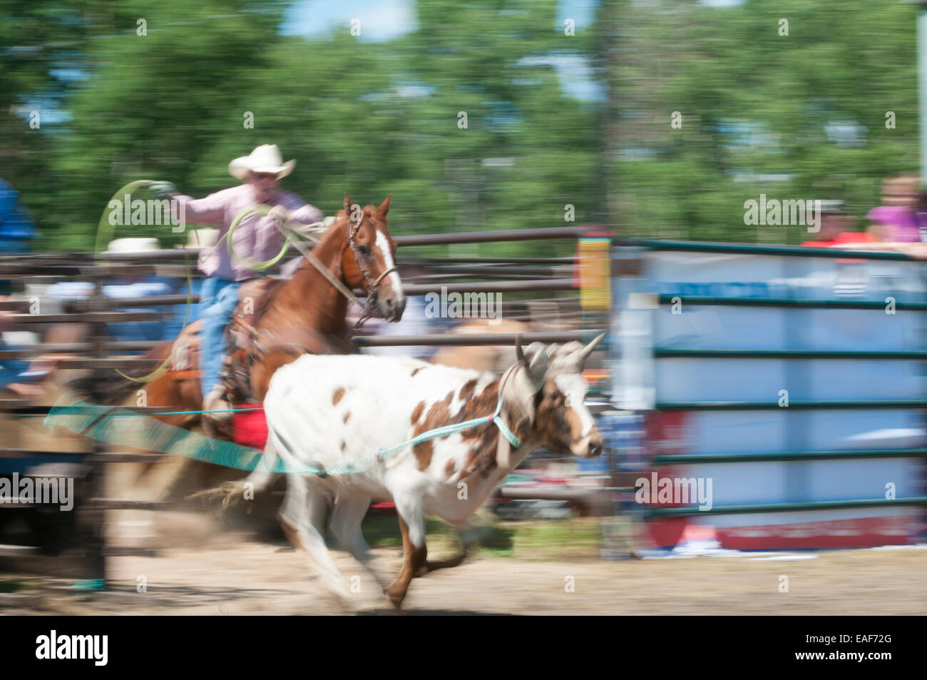 Dog cowboy horse ride hi-res stock photography and images - Alamy