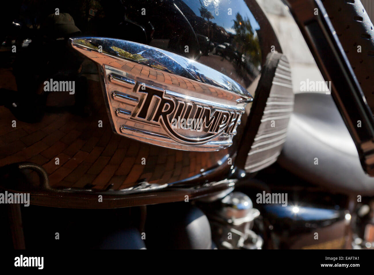 Parked Triumph Bonneville SE motorcycle - USA Stock Photo