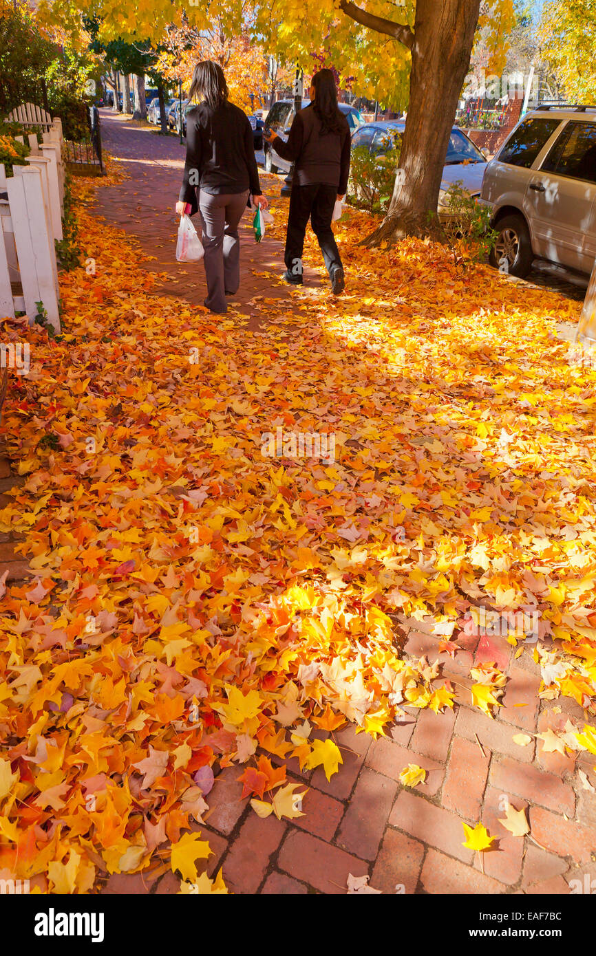 Fall foliage on pedestrian walkway - Georgetown, Washington, DC USA Stock Photo