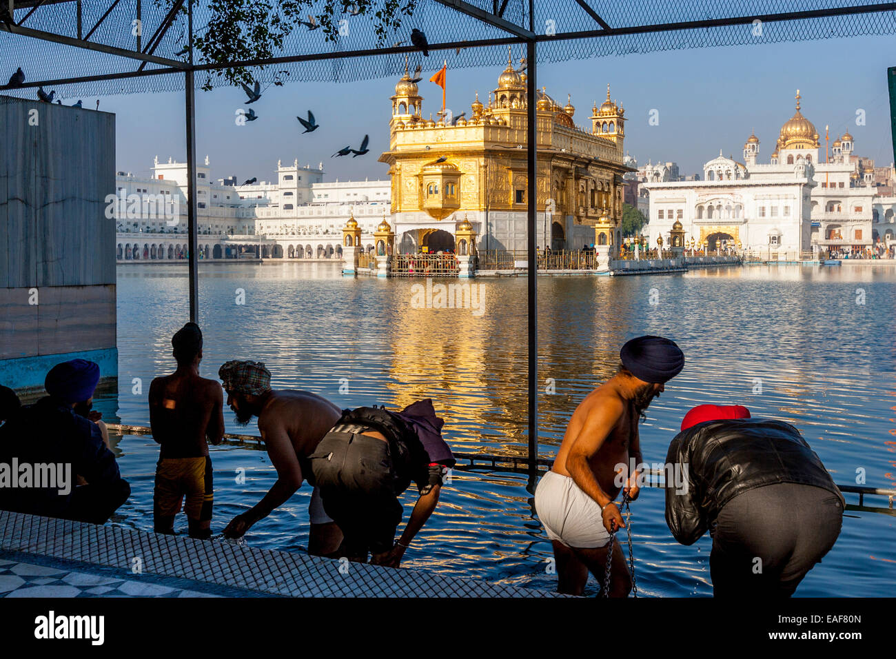 Sikhs Preparing To Bathe In The Sarovar, The Golden Temple of Amritsar, Punjab, India Stock Photo