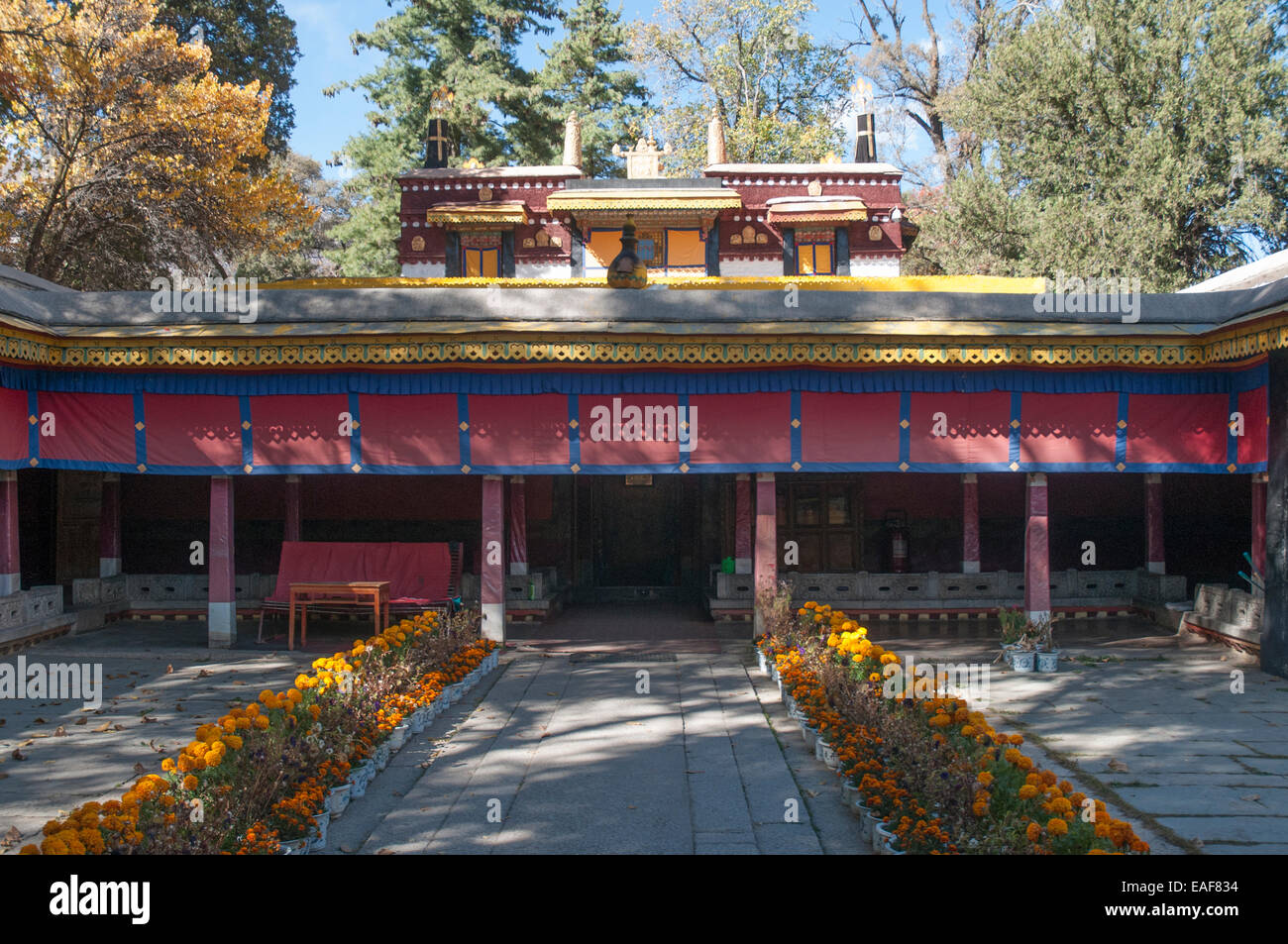 Norbulingka summer palace, Lhasa, once a summer retreat for the Dalai Lama Stock Photo