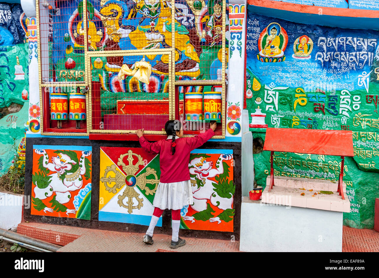 School Girl Spinning A Prayer Wheel At A Buddhist Shrine, Observatory Hill, Darjeeling, West