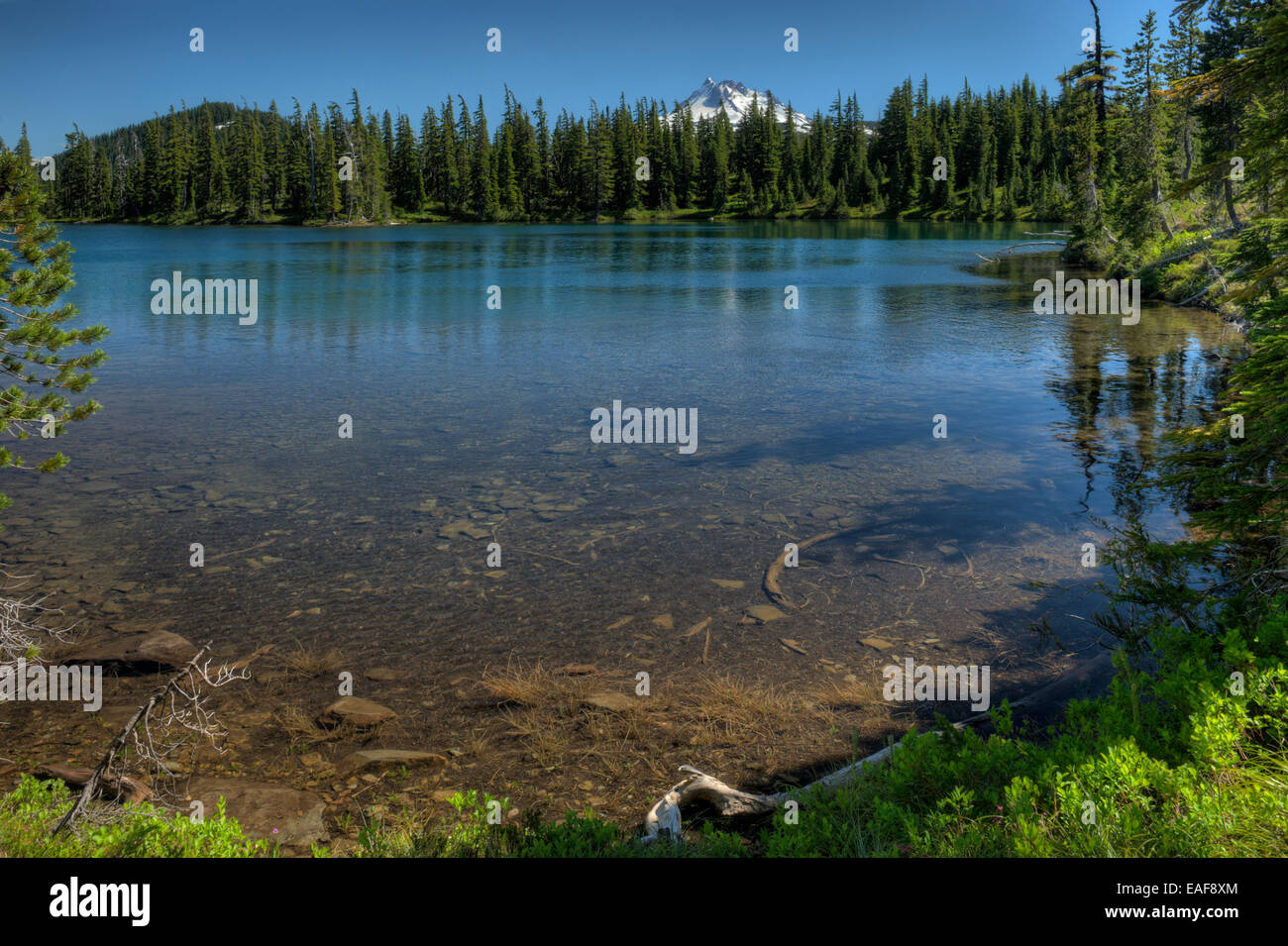 Gibson Lake on the Warm Springs Indian Reservation at the summit of the Oregon Cascades, with Mt
