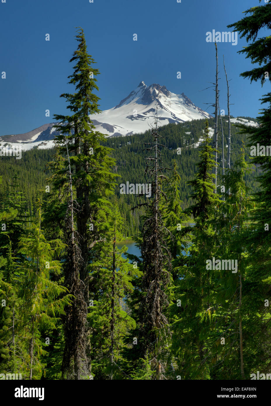 Mount Jefferson and Breitenbush Lake, Oregon Stock Photo Alamy