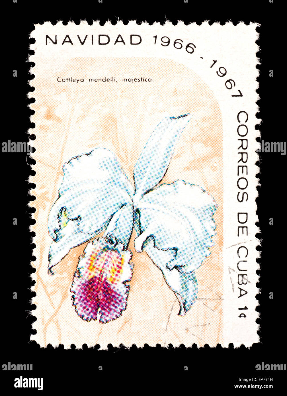 Postage stamp from Cuba depicting a Flor de Mayo orchid (Cattleya trianae amesiana) Stock Photo