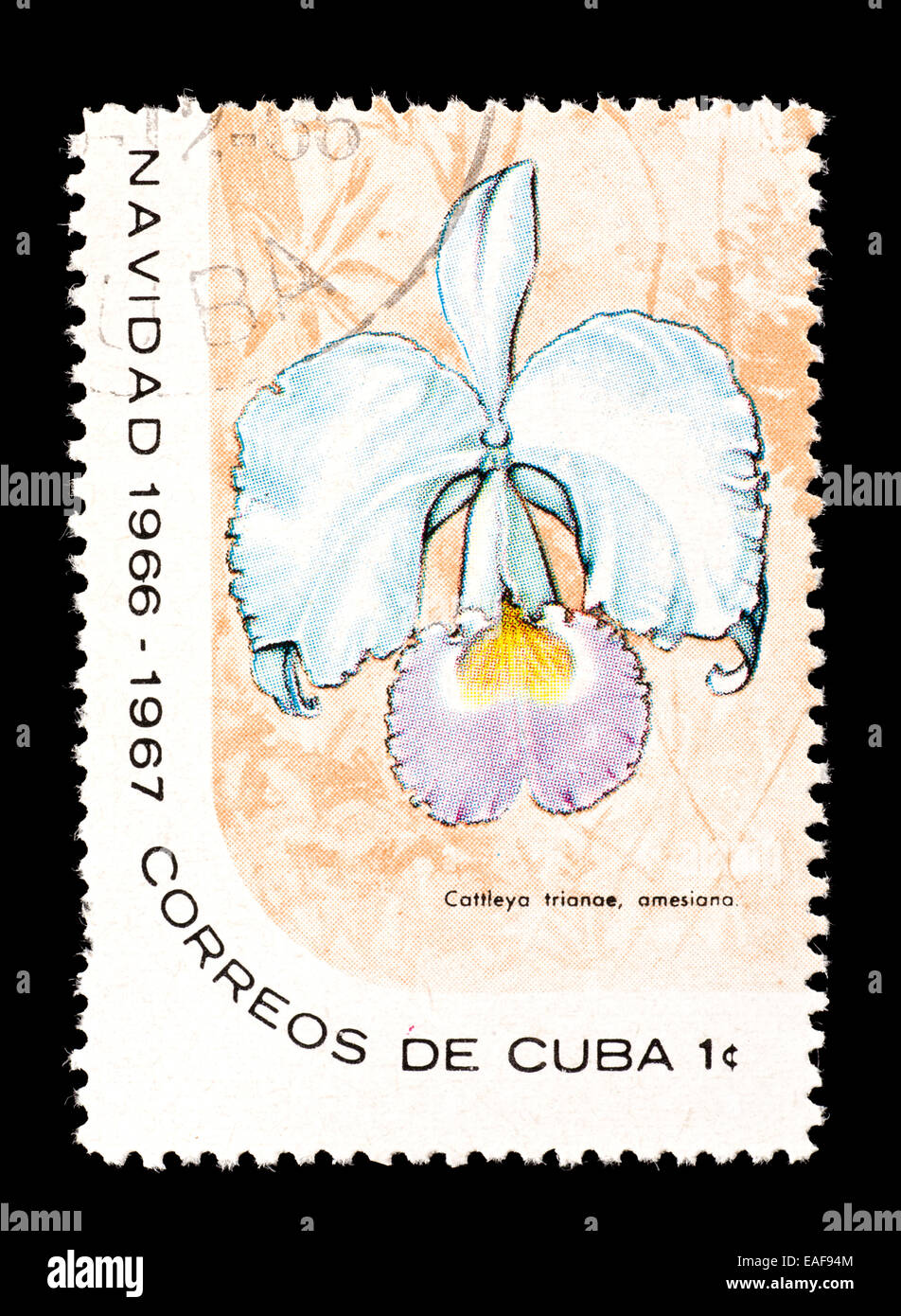 Postage stamp from Cuba depicting a Flor de Mayo orchid (Cattleya trianae) Stock Photo