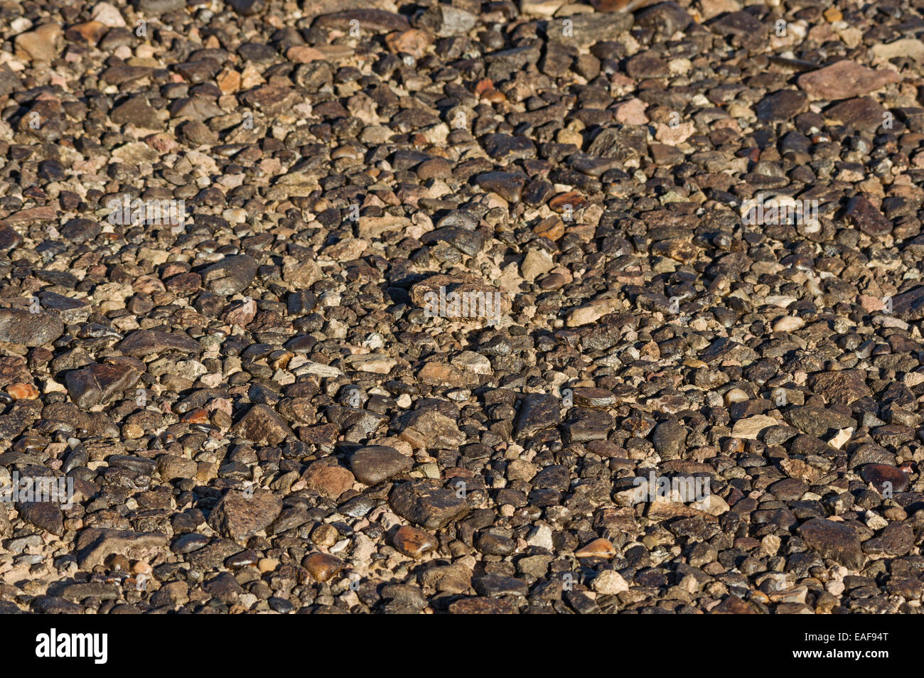 desert pavement with dark desert varnish on rocks and shallow depth of field Stock Photo