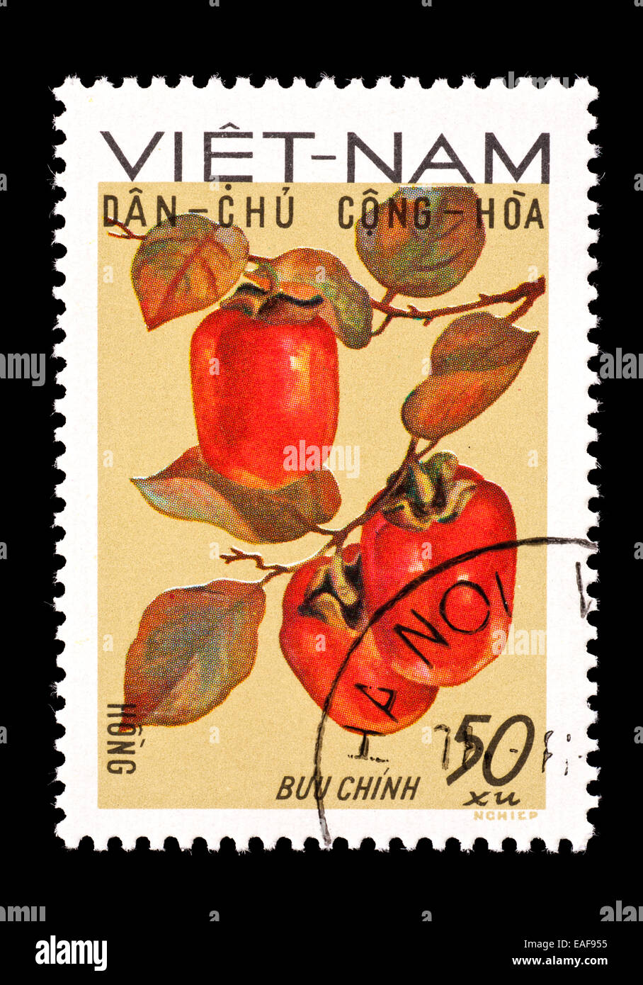 Postage stamp from Vietnam depicting persimmons Stock Photo - Alamy