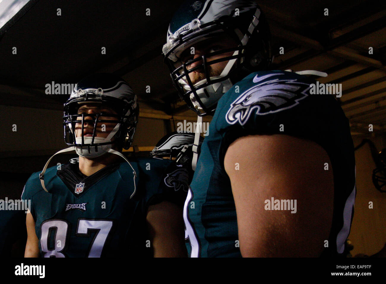 595 Philadelphia Eagles Tight End Brent Celek 87 Photos & High Res