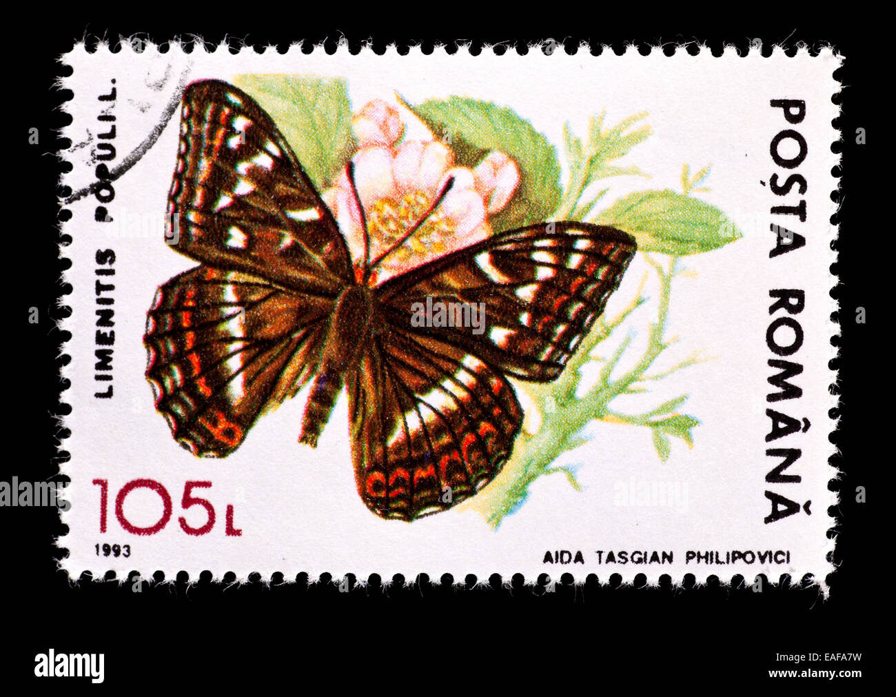Postage stamp from Romania depicting a poplar admiral (Limenitis populi) Stock Photo