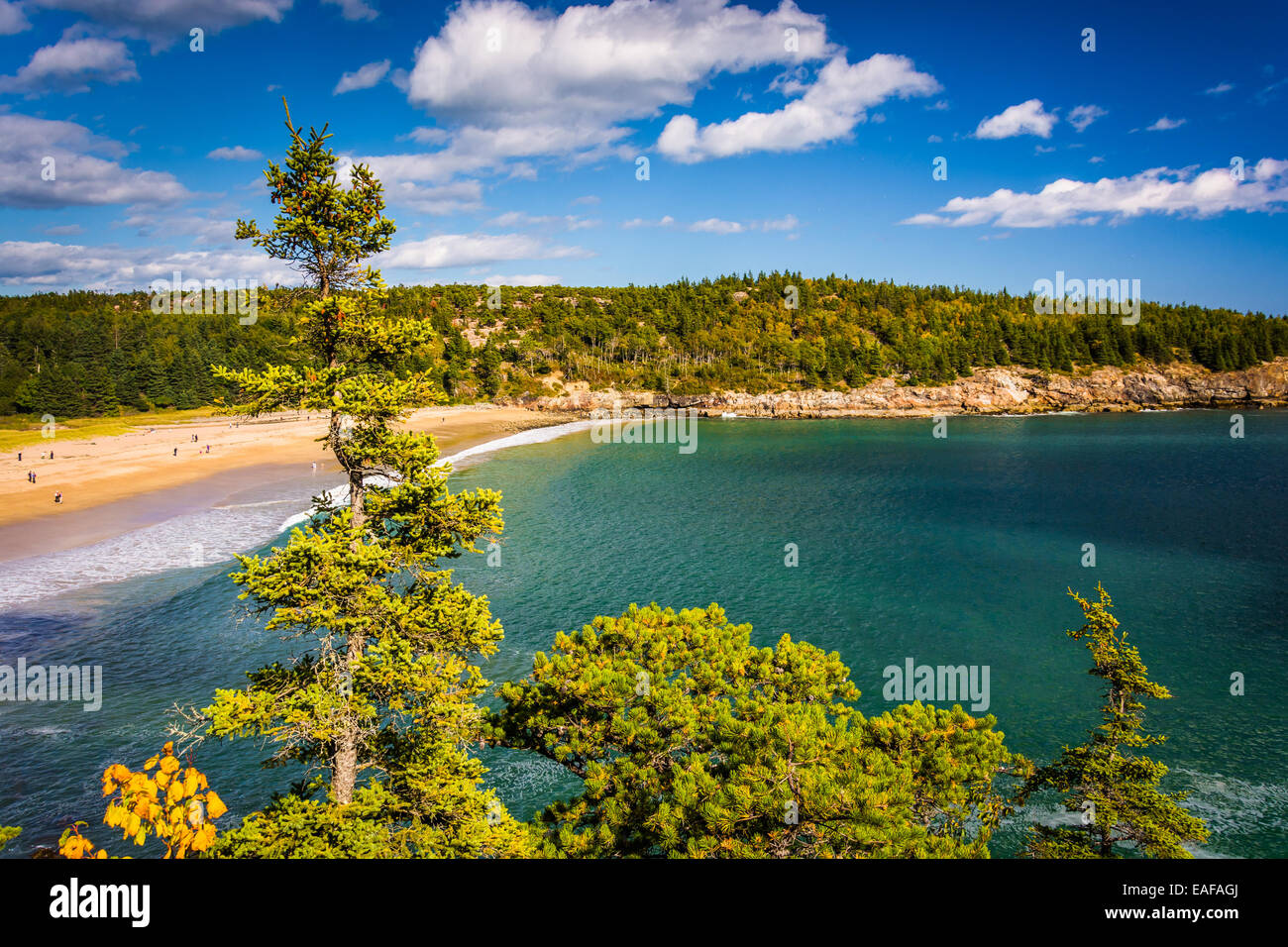 Acadia national park sand beach hires stock photography and images Alamy