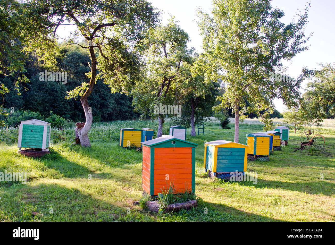 Bee hives in orchard hi-res stock photography and images - Alamy