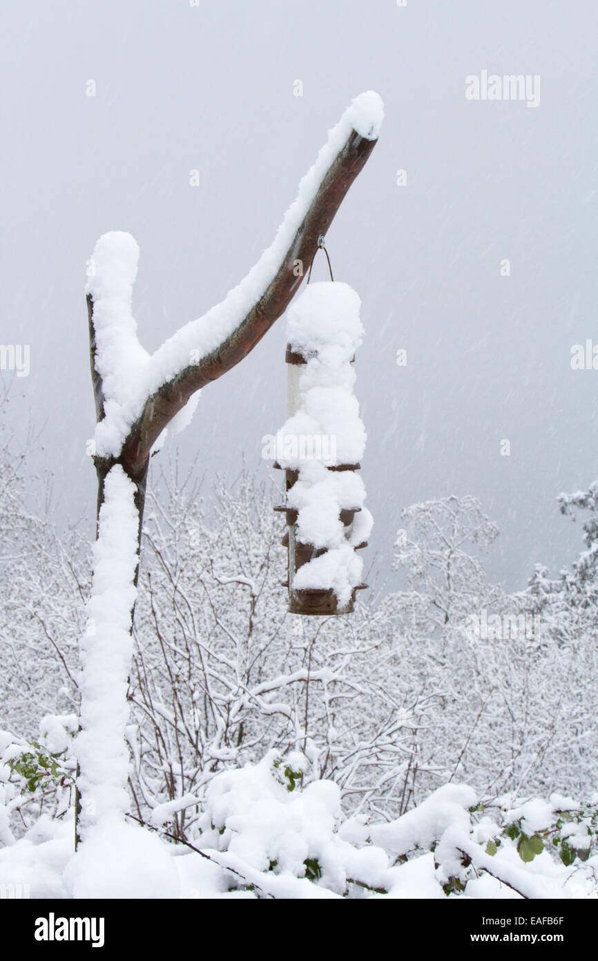 Winter snow scene of bird feeder covered in snow hung on branch in