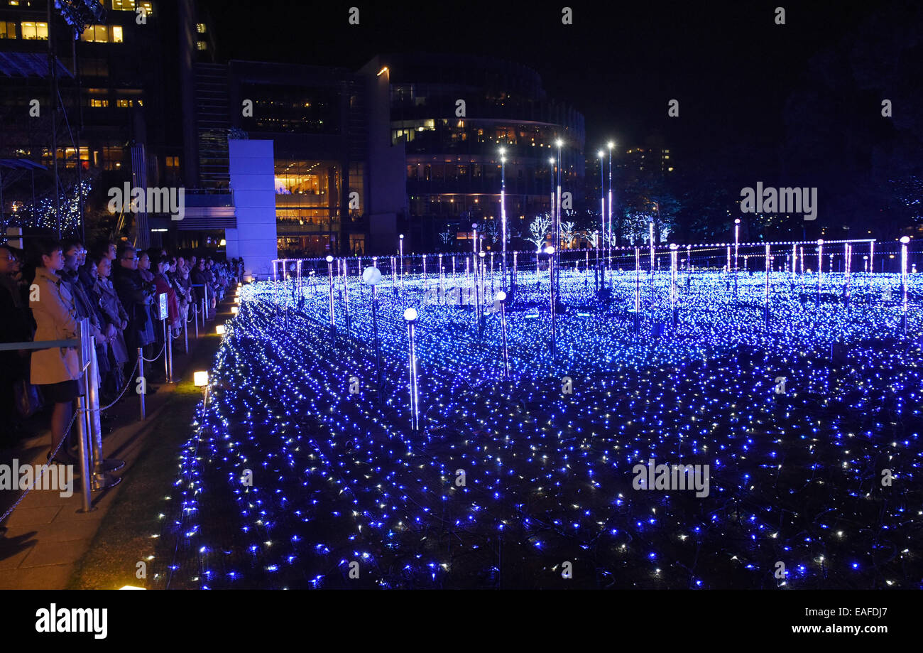 Tokyo, Japan. 13th Nov, 2014. The Starlight Garden is brightly