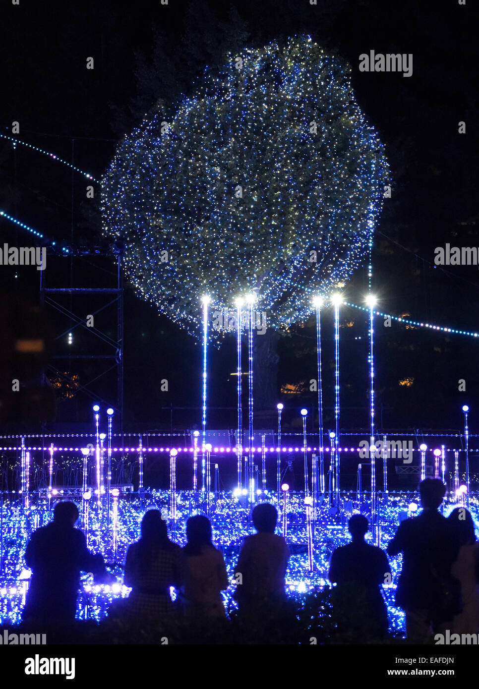 Tokyo, Japan. 13th Nov, 2014. The Starlight Garden is brightly