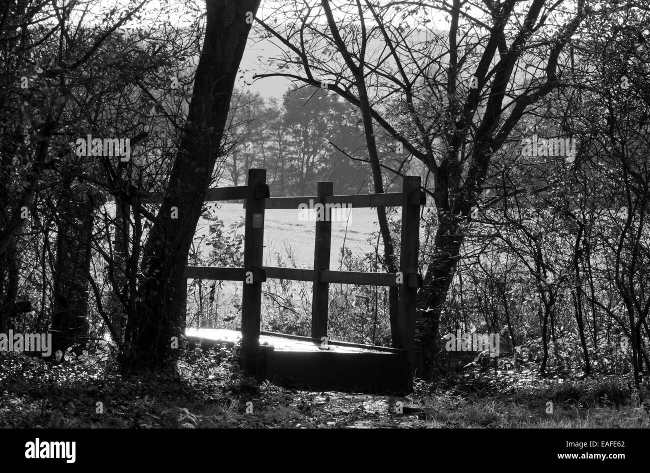 Black and white shot of a small wooden footbridge that crosses a small stream near Plumpton, East Sussex. Stock Photo
