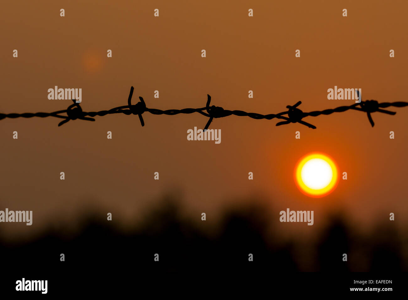 Barbed wire silhouette on sunset sky Stock Photo - Alamy