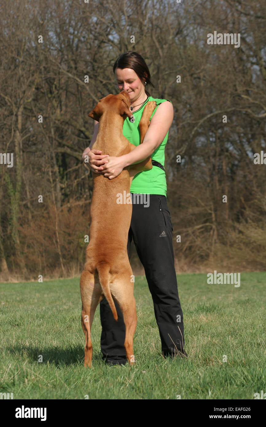 woman with Rhodesian Ridgeback Stock Photo