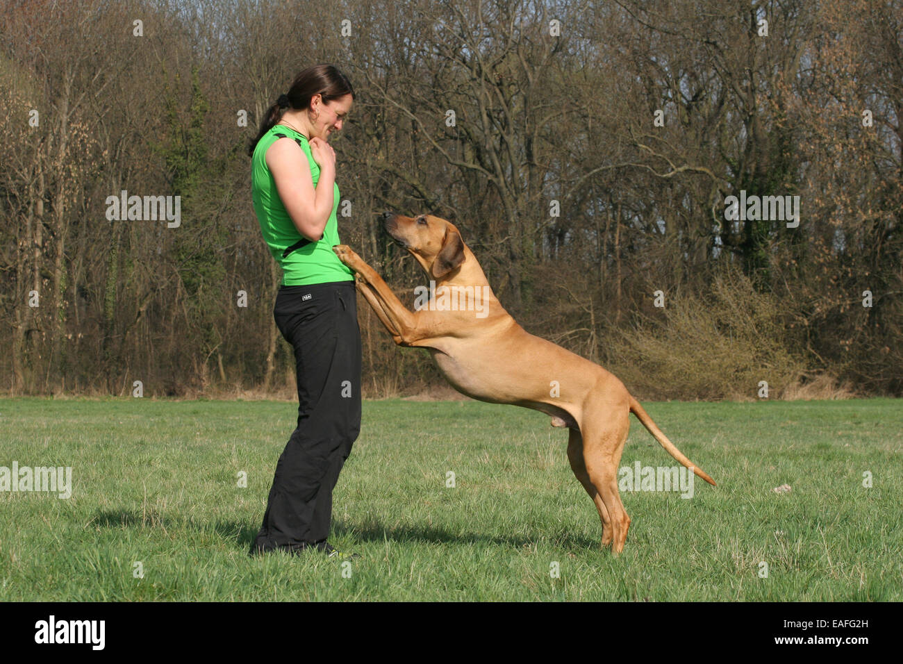 woman with Rhodesian Ridgeback Stock Photo - Alamy