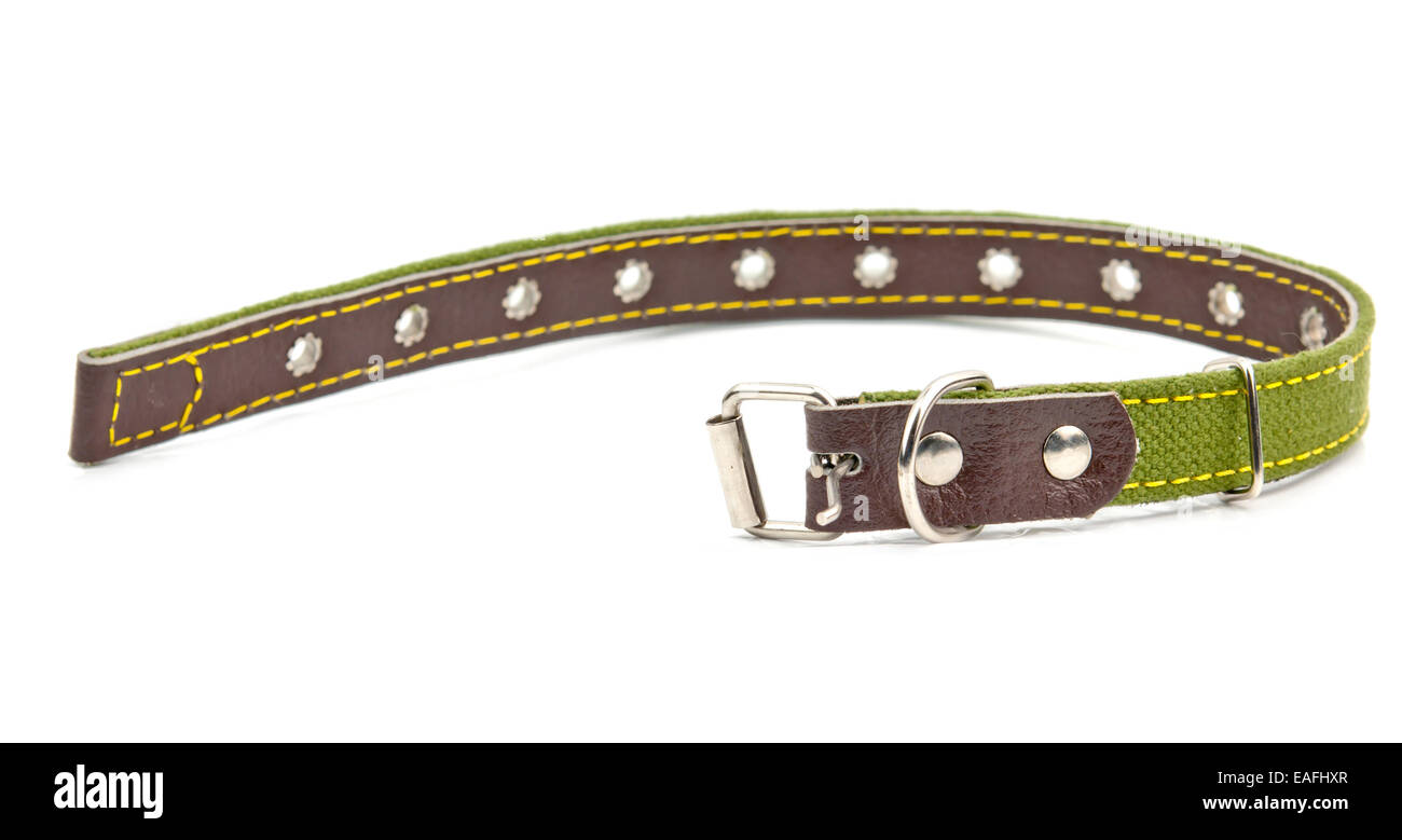 Dog collar Hunter MALIA Green 12 40-49 cm
