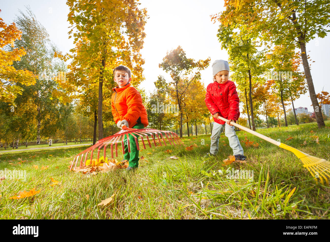 Boy and girl with two rakes working together Stock Photo - Alamy