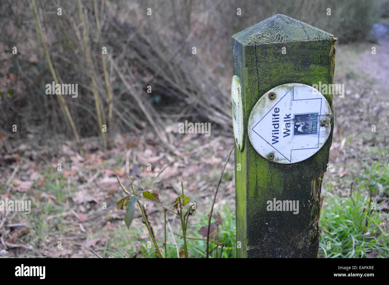 A Wildlife walk sign Stock Photo