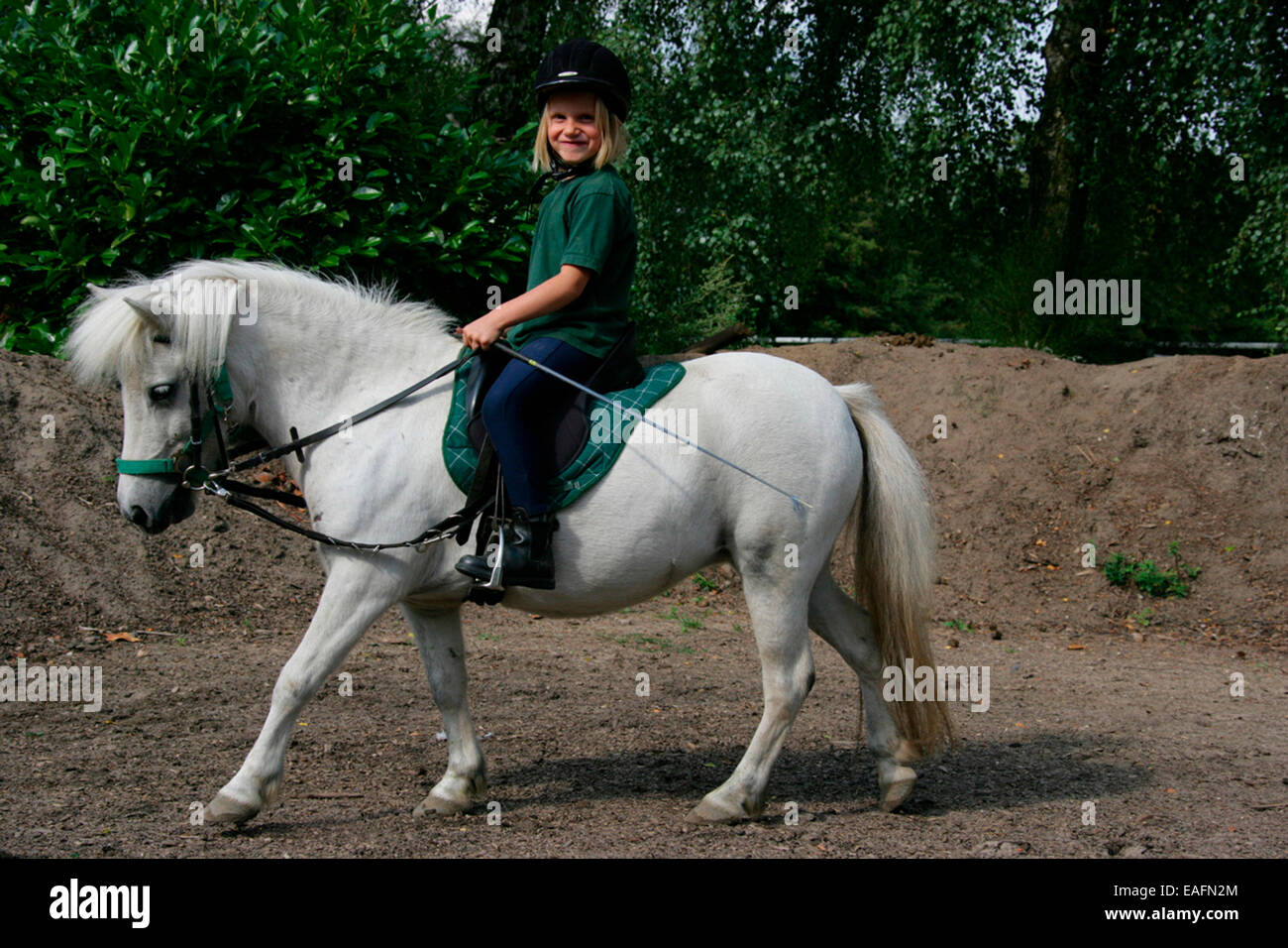 Girl learing to ride Shetland Pony Notice the side-reins Germany Stock Photo