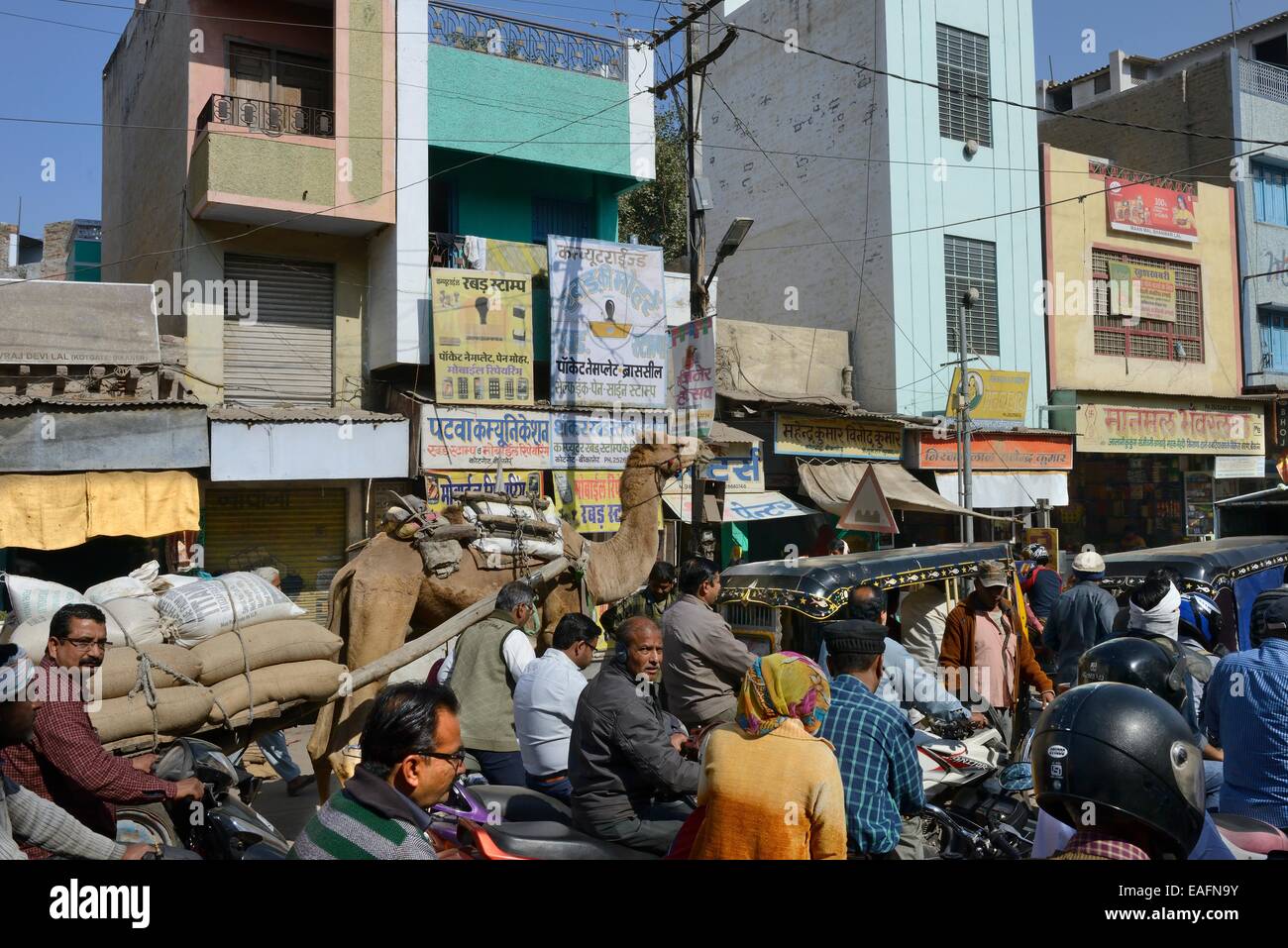 Inde, Rajasthan, region du Marwar, Bikaner, congestion on public roads during the closure of the level crossing Stock Photo