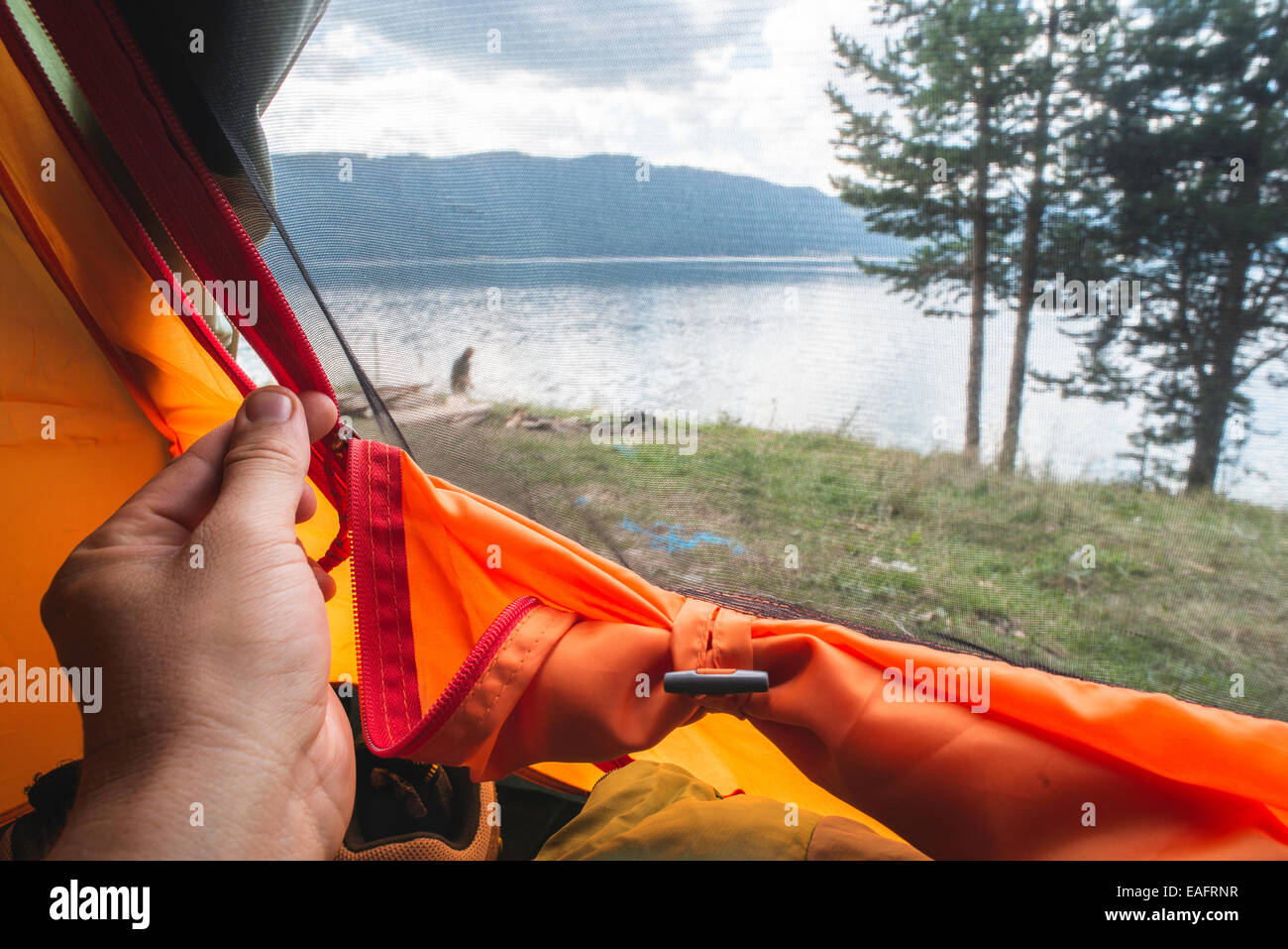 View from inside the tent. View out of the woods Stock Photo