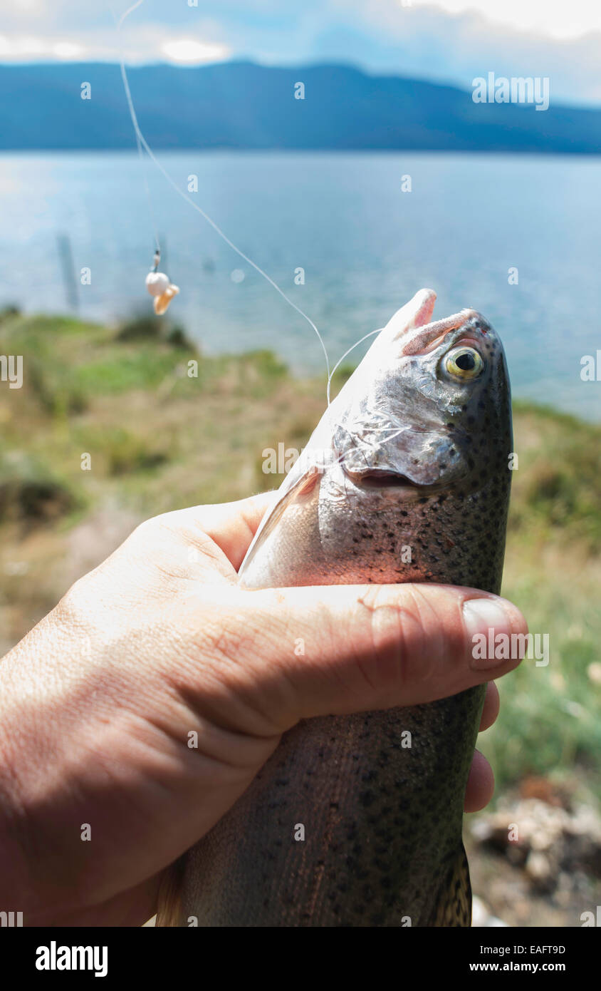 Fisherman caught a fish in mountain dam Stock Photo