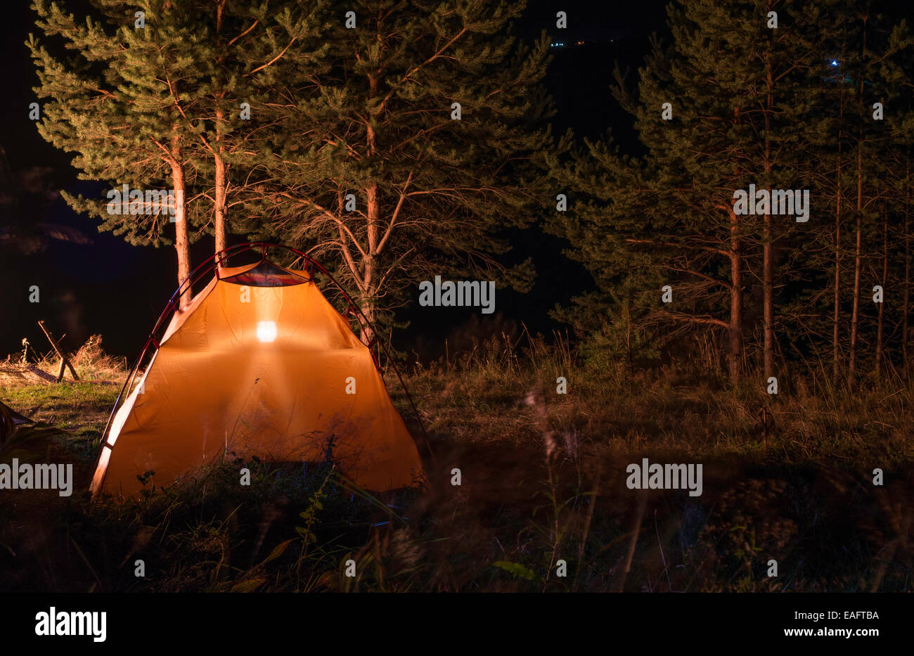 Orange tent in the forest at night Stock Photo - Alamy
