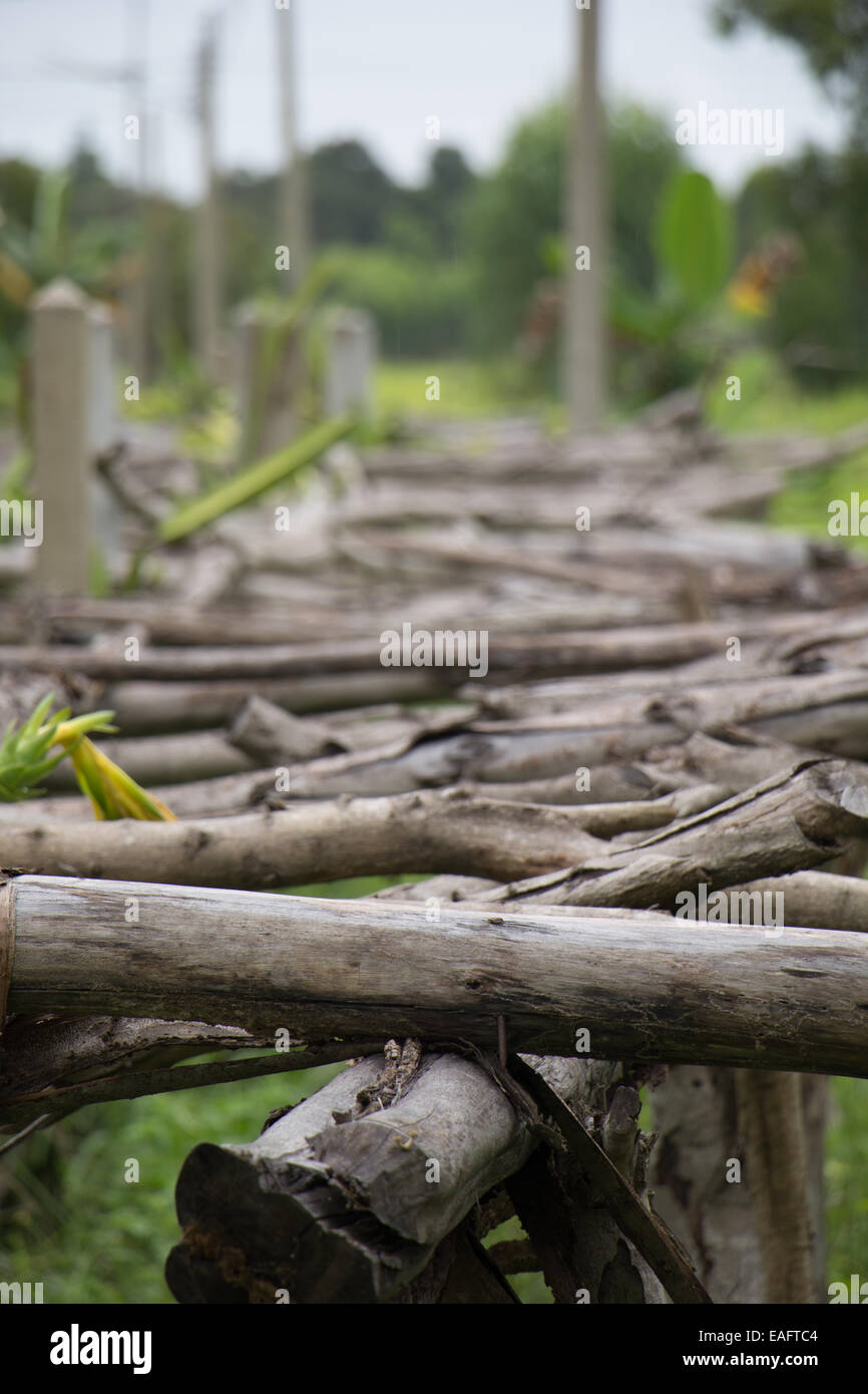 The Old wooden bridge, wooden, brown, trees. Stock Photo