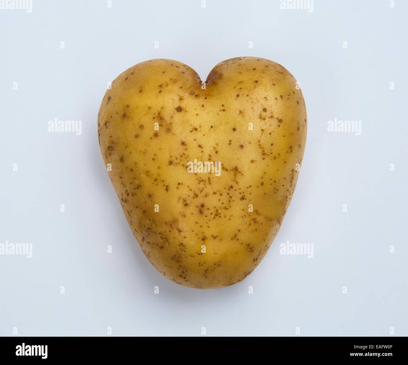 Heart shaped potatoe stock photo. Image of like, food - 14557822