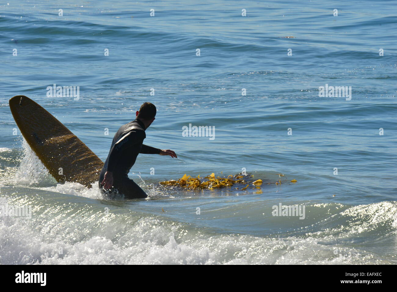 Surfing at Zuma beach California Stock Photo Alamy