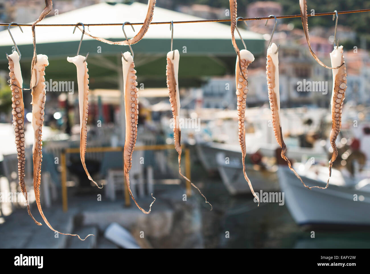 Octopus tied on rope and boats Stock Photo - Alamy