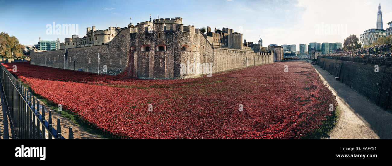 Panoramic view of ceramic poppies at Tower of London to commemorate centenary of WW1 Stock Photo