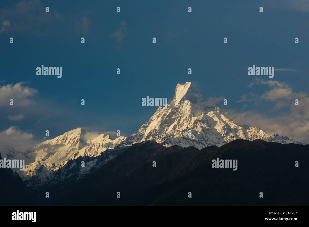 Fishtail Mountain 'Machhapuchre mountain'. Nepal Stock Photo