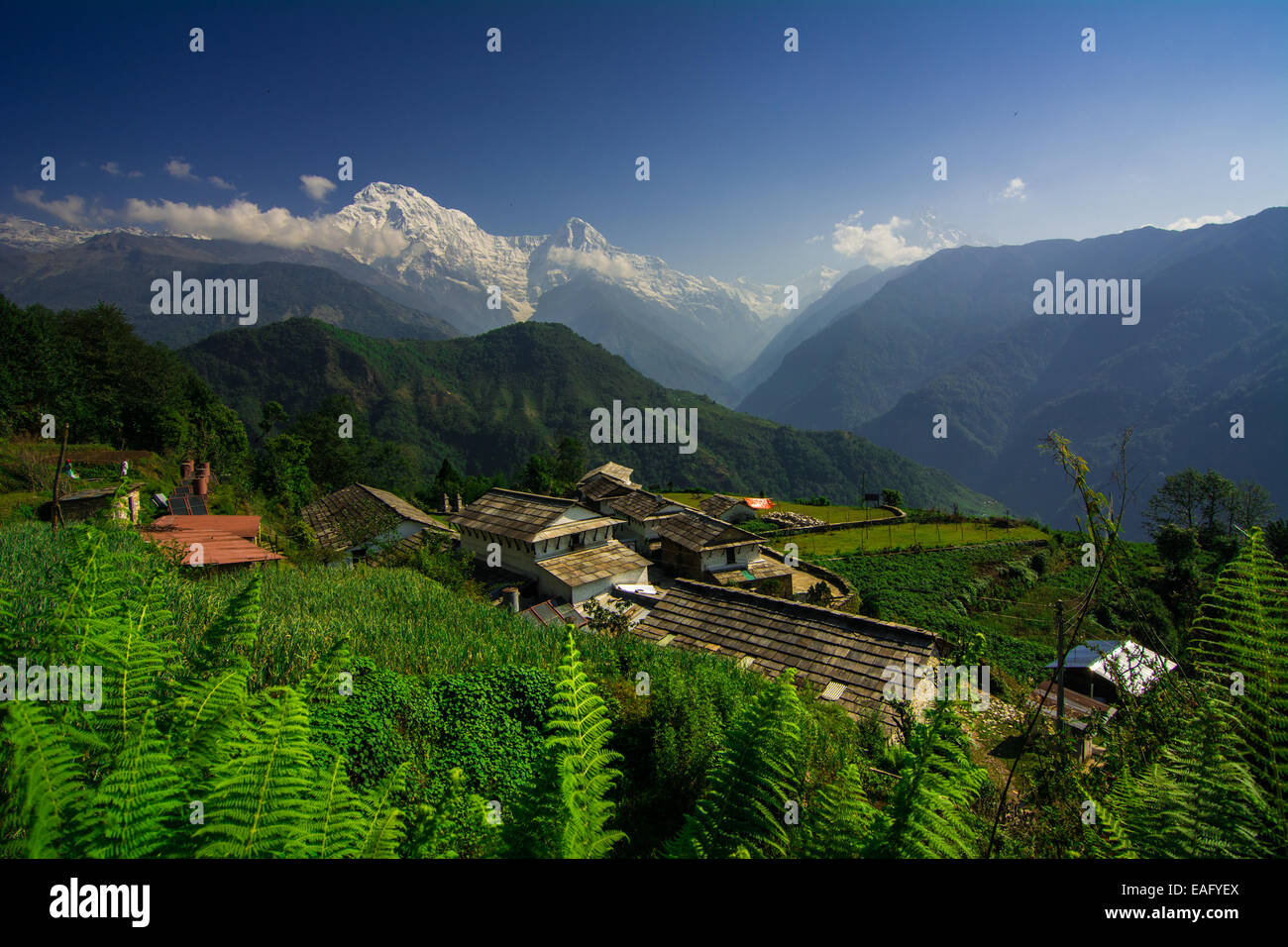 Ghandruk Village. Pokhara, Nepal Stock Photo Alamy