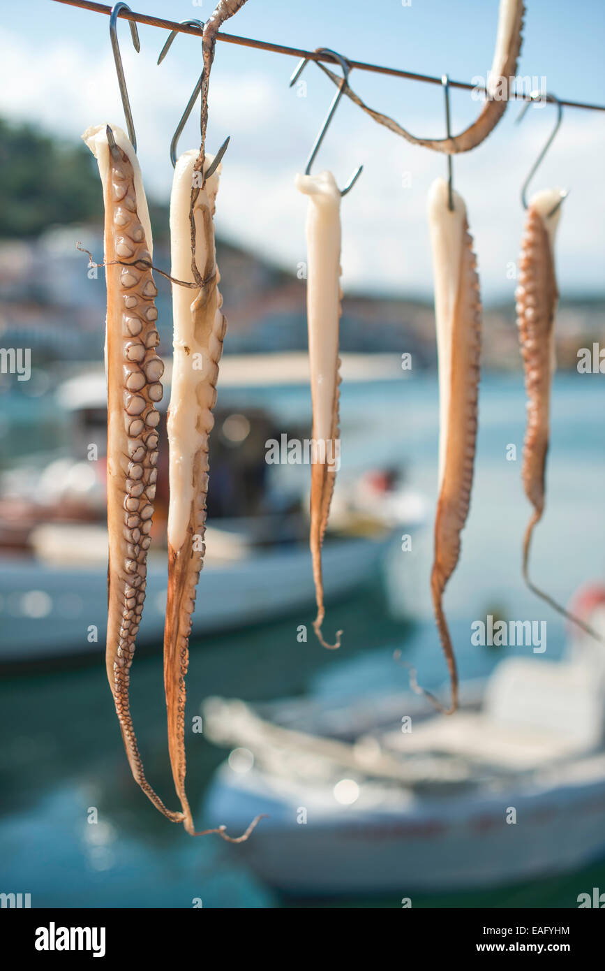 Trying to catch an octopus in Culatra, Portugal #26 