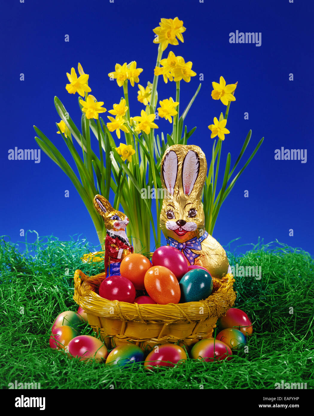 Chocolate Easter Bunny Stock Photo Alamy
