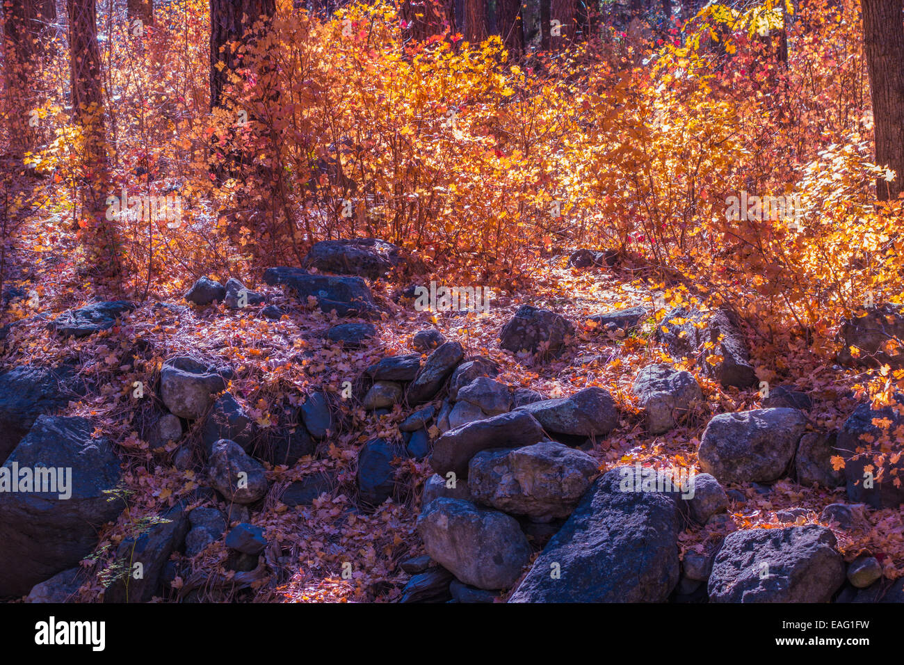 The colors of fall in beautiful Sedona Arizona Stock Photo - Alamy
