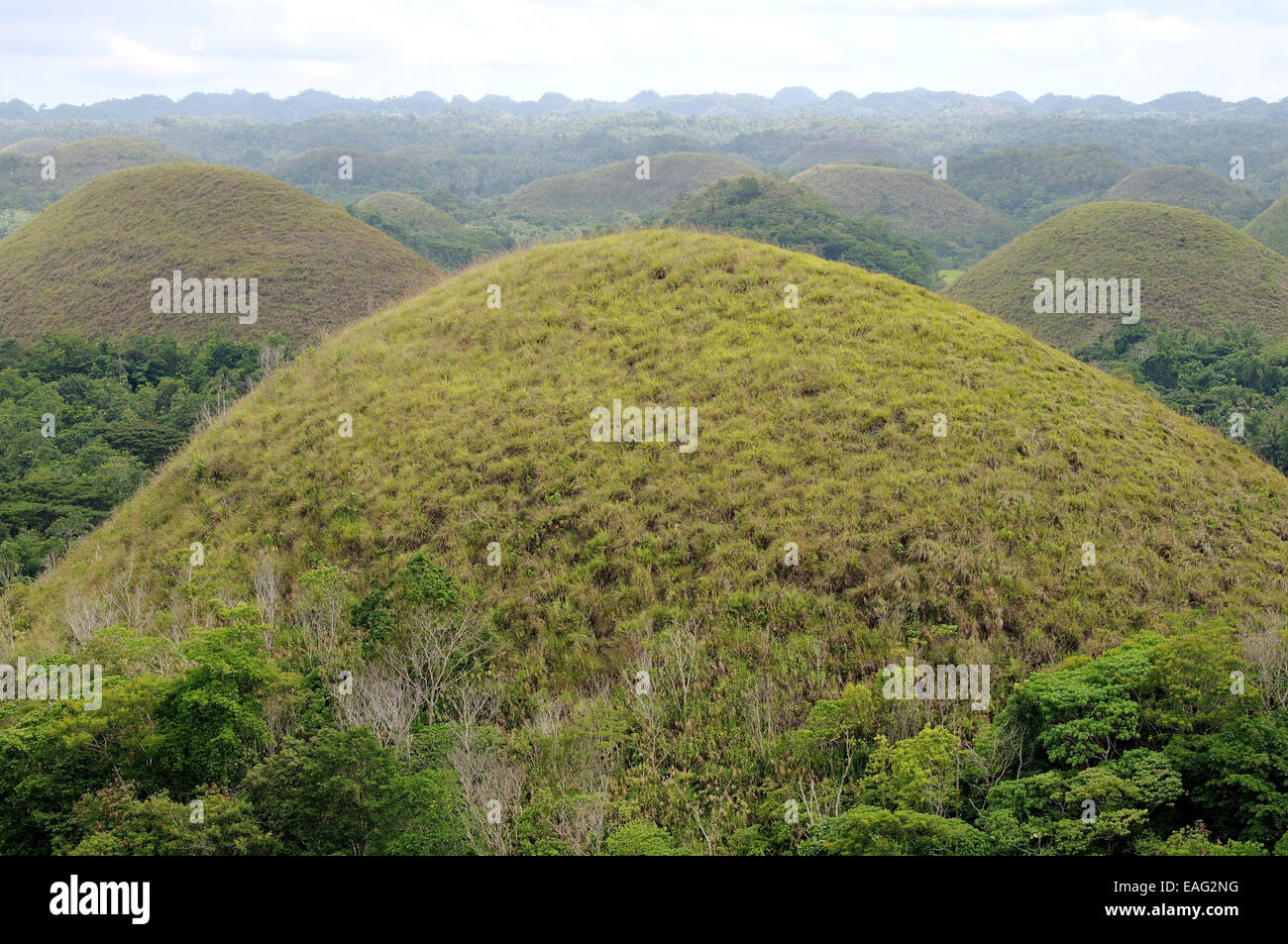 The Chocolate Hills in Carmen, island Bohol, Philippines, Southeast Asia Stock Photo Alamy