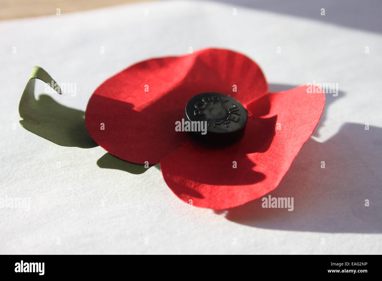 British legion paper poppy Stock Photo - Alamy