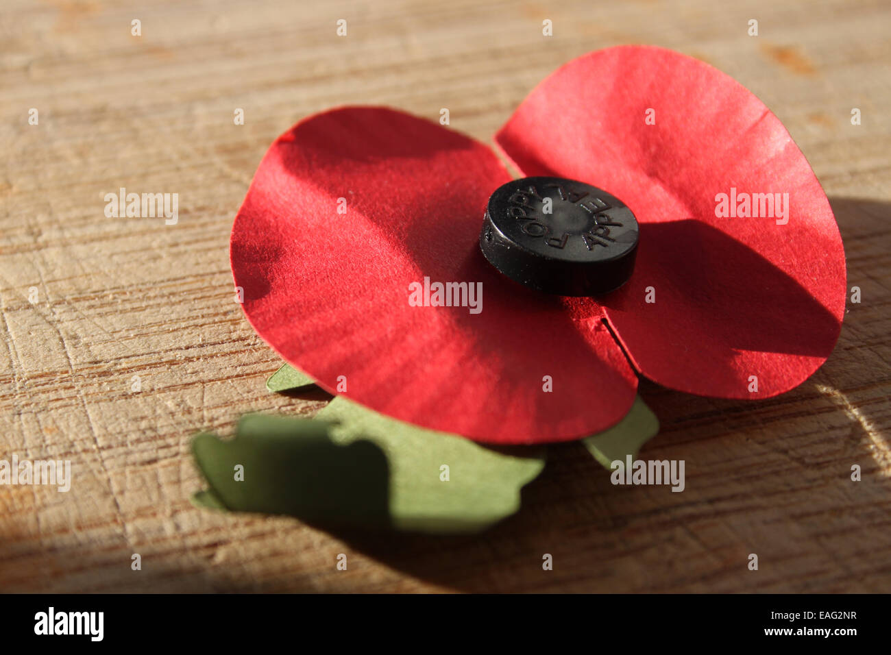 British legion paper poppy Stock Photo - Alamy