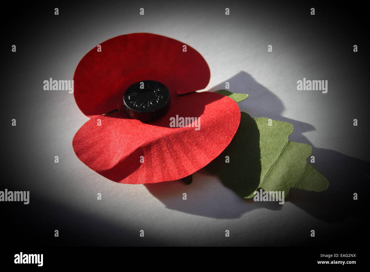 British legion paper poppy Stock Photo - Alamy