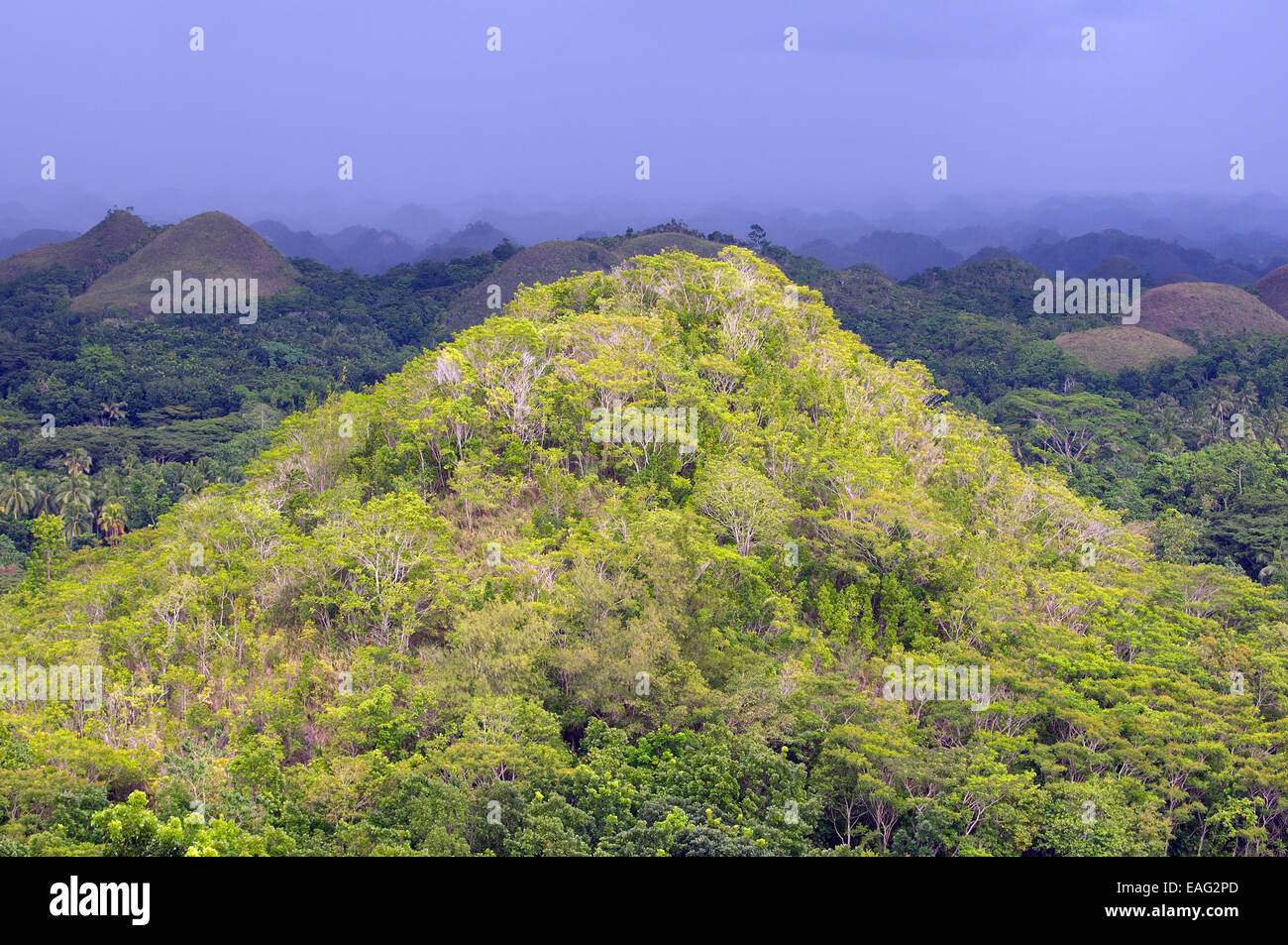 The Chocolate Hills in Carmen, island Bohol,  Philippines, Southeast Asia Stock Photo