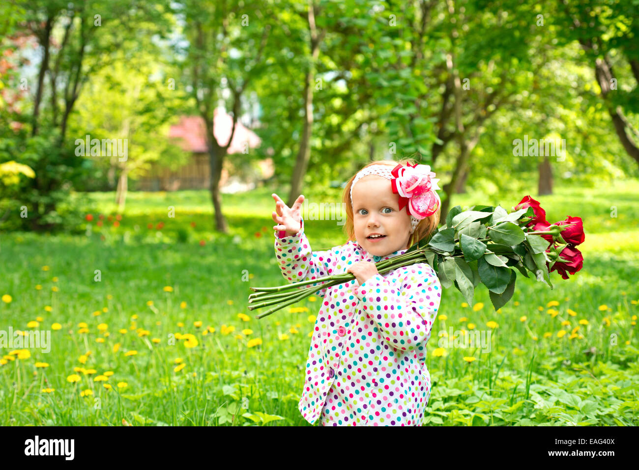 Girl walks in the garden with a bouquet of roses Stock Photo - Alamy