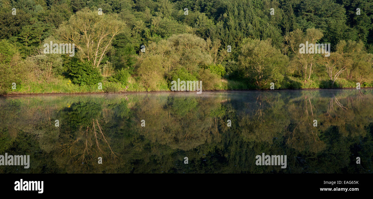 Early morning Saar River with reflections of trees Saarland Germany Stock Photo