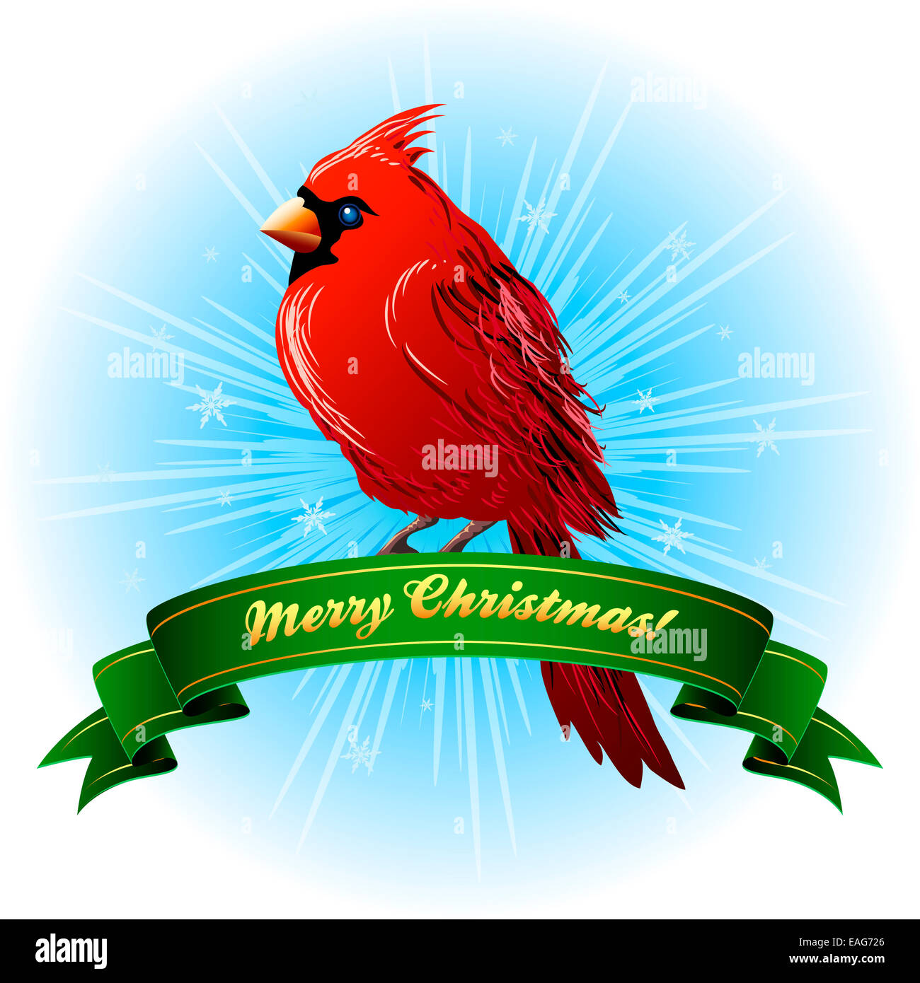 Christmas Frame with northern cardinal Stock Photo